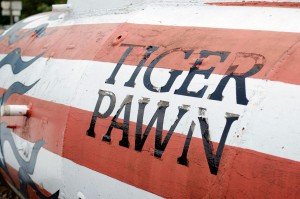 TigerPawn3